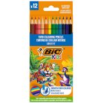 ΞΥΛΟΜΠΟΓΙΕΣ VIVID COLOURING PENCILS 12 ΤΕΜΑΧΙΑ (525786) ΔΙΑΦΟΡΑ ΧΡΩΜΑΤΑ KIDS BIC