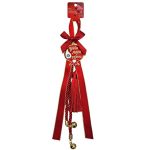 ΓΟΥΡΙ ΚΡΕΜΑΣΤΟ ΡΟΔΙ ΜΕ ΚΟΚΚΙΝΕΣ ΠΕΤΡΕΣ